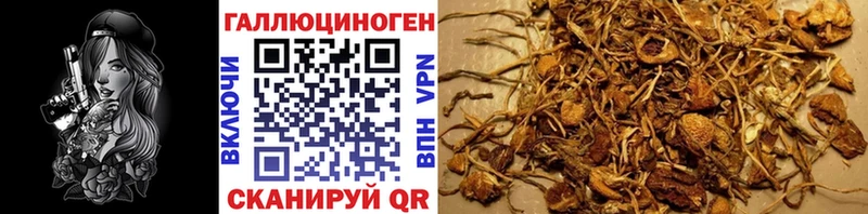 Галлюциногенные грибы Magic Shrooms  где купить наркотик  KRAKEN как зайти  Нягань 